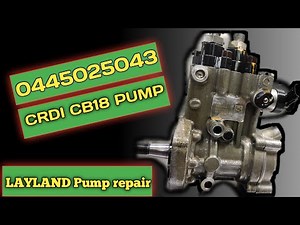 0445025043 layland CB18 PUMP REPAIR