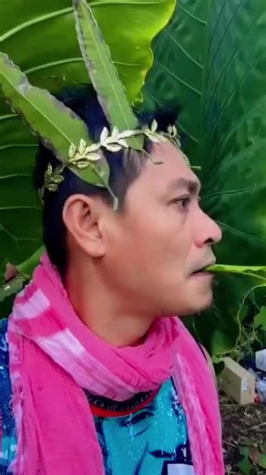 #BirdSounds🐦🕊️🕊️#NatureSounds🐦🕊️🕊️#BirdCalls#🐦🕊️🕊️ Birdsong#wildlifesounds