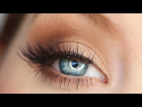 LORAC Pro 3 Palette Tutorial | Review & Swatches