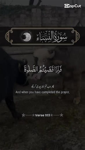 Exploring Pakistan's Cattle Farms: Nature and Dairy Industry