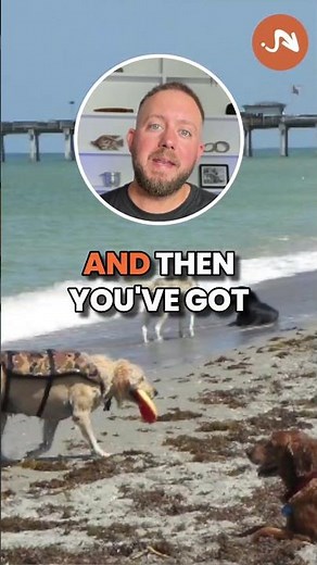 Venice Florida Beaches Explained #realestate #floridabeachhouse #realestateinvesting