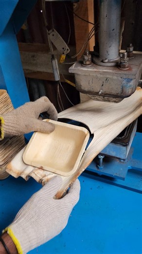 Amazing Technique of Making Eco-Friendly Square Plates from Areca Palm Sheath