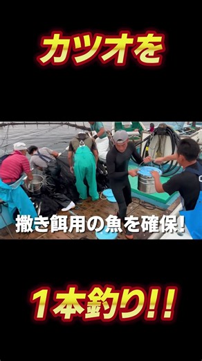 カツオ1本釣り！