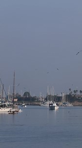 19K views · 727 reactions | Hello, September!  | Channel Islands Harbor | Facebook