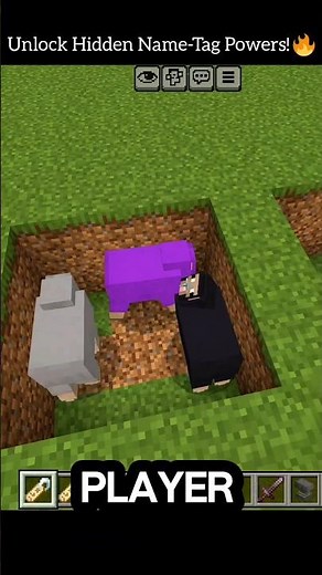 Unlock Hidden Name-Tag Powers! ⚡️🐐” #equipou #minecraft