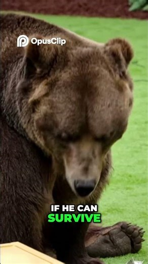 Chained to a Rock Will He Survive 7 Deadly Traps #yosho