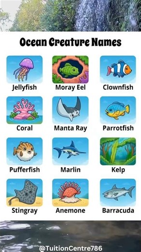 Ocean Creature Names 🐠 | Learn Sea Animals & Marine Life Vocabulary📘 #sea
