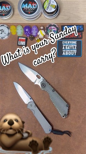 Strider Sunday #strider #chrisreeveknives #edc #youtubeshorts #ytshorts #shorts #short #edcknife