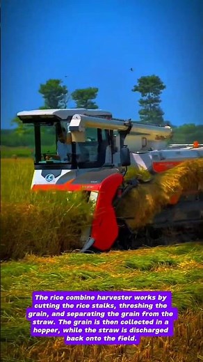 Kubota Rice Combine Harvester: Efficient Harvesting in Action