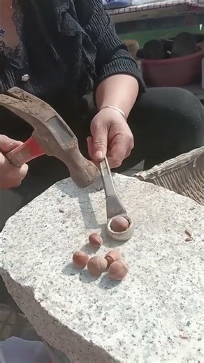 Clever shelling process of hazelnuts