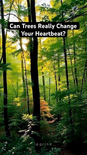 Can Trees Really Change Your Heartbeat?