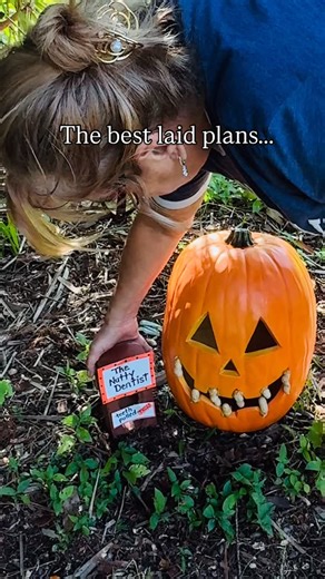 1K views · 37 reactions | Next time I won’t use peanut butter as glue! He was like a little squirrel in a china shop, and totally went off script! 藍️❤️#myyard #squirrelvideos #nature #squirrel #ilovesquirrels #squirrellife #happy #cutesquirrel | Nikki Anne Williams | Facebook