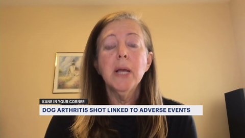 Kane in Your Corner: FDA warns of adverse effects, including death, from dog arthritis drug Librela