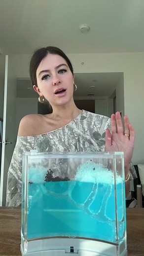 Live Ants for Ant Farm: Long Live the Queen