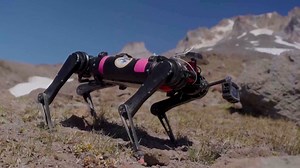 Researchers are testing a quadrupedal robot, named Spirit, to see if it could handle being man's best friend on Mars. | USA TODAY