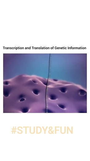 DNA || Protein synthesis | RNA Formation | Genetics | Cell Function ||#science #dna #genetics