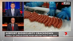 Recent biosecurity checks at our international airports has found that 50% of seized pork products are turning up positive to African swine fever - up 35% in just nine months. More: 7news.link/8lhHjk #auspol #TheLatest #7NEWS | 7NEWS Australia