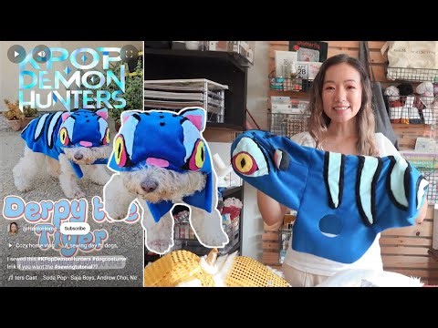 The Making of: KPop Demon Hunters Tiger Costume for Dog