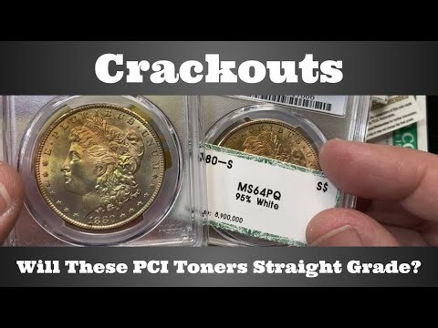 Crackouts - Will These PCI Holder Rainbow Toning Morgan Dollars Straight Grade? - PCGS Open Box
