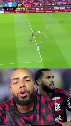 #flamengo #flamenguista #mengao #mengo #rubronegro #naçãorubronegra #crf #brasileirao #futebol