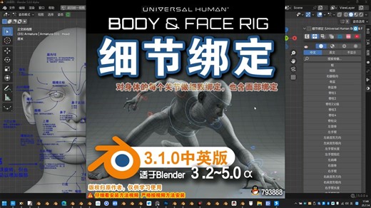 👧 细节绑定 (Universal Human Body & Face Rig 3.1.0)