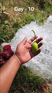 Day 10 of 365 | Vermicompost Business Journey | Zero se start #vermicompost