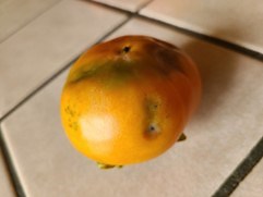 10-Minute University™