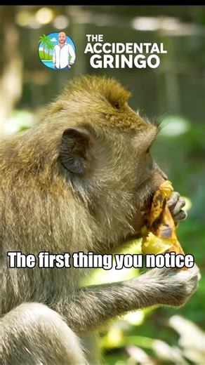 Cenote swimming in Mexico