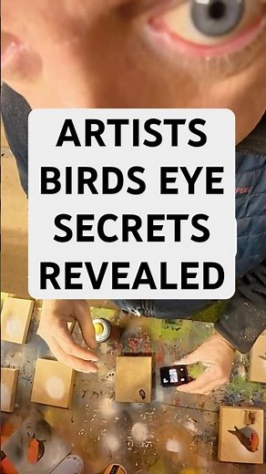 Crazy Soraypaint Artists Birds Eye View