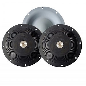 [Hot Item] Rubber Diaphragms PTFE Bonded Membrane Diaphragm for Almatec Diaphragm Pump