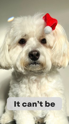 25 reactions · 75 comments | ℂ핒핟’핥 핓핖 핥핣핦핖 梁 . Check it again  -...