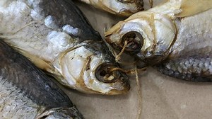 Dried Salt Fish Kraft Paper Background Stock Footage Video (100% Royalty-free) 1037865416 | Shutterstock