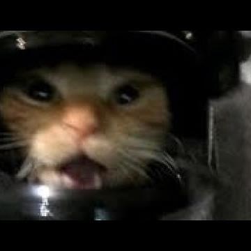 cake bake betty - 64 little white things (sped up)