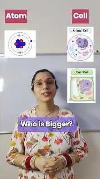 Atom & Cell Who is bigger Class 9 & 10 Chemistry | Size of Atom vs Cell | Matter Around us