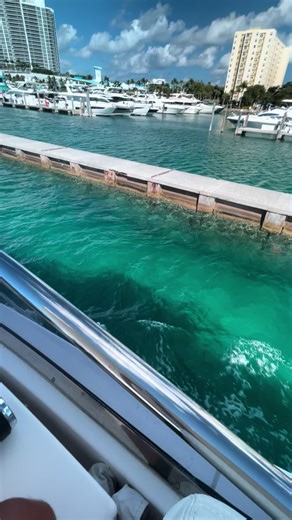 Miami Charter Yachts (@miamicapt)’s videos with son original - Miami Charter Yachts