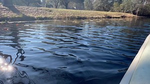 The Okefenokee Swamp Park #growwaycrossandware | Waycross and Ware County Georgia Happenings