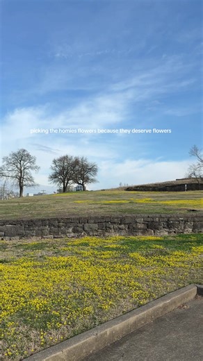 made the most dangerous U turn of my life to touch these flowers #fortnegley #spring #springflowers #mustardflower
