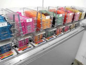 Econocorp Spartan Cartoner with APAI Crayon Collator Packaging System