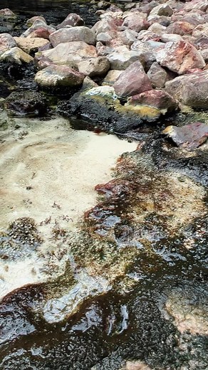 Exploring the Wonders of Our Ocean Ecosystem