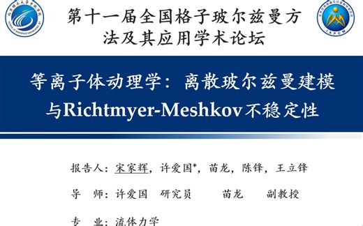 等离子体动理学：离散玻尔兹曼建模与Richtmyer-Meshkov不稳定性