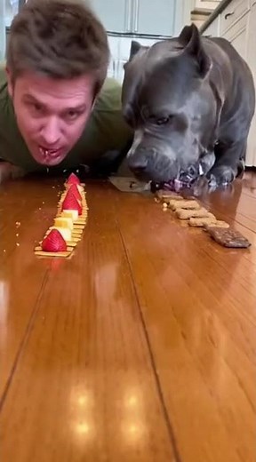 Can a Dog Beat a Human? 🐕🔥 Snack Race Without Hands!