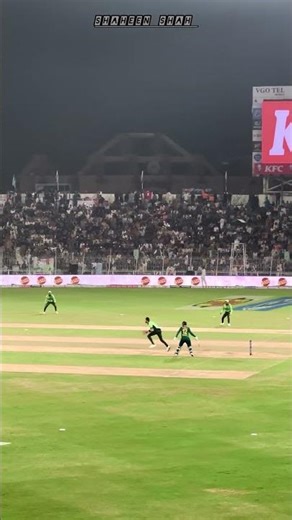 Shaheen Shah Afridi Bolling Action Slow vs South Africa 2nd Odi 2025 Highlights cricket Video
