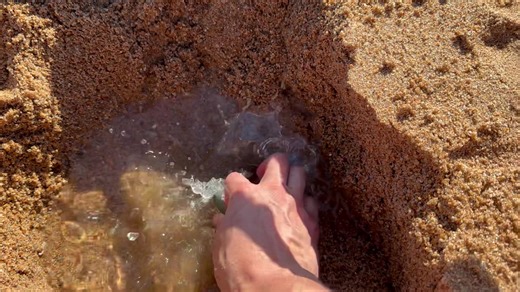 10K views · 329 reactions | Metal detecting a tropical beach ️ | GOLD-COIN & RELICS AUSTRALIA | Facebook