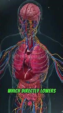 How to Instantly Reduce Anxiety Using the 4-7-8 Breathing Method | DR. David