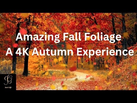 Amazing Fall Foliage: A 4K Autumn Experience
