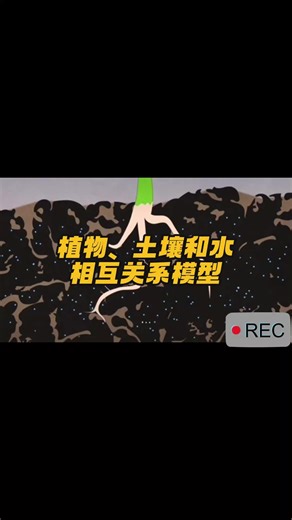 植物、土壤和水相互关系模型