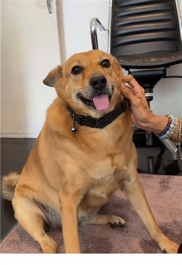 Joyful Moments in Colombo, Sri Lanka