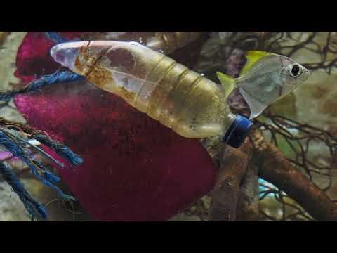 Reusable water bottles | Clean River Partners