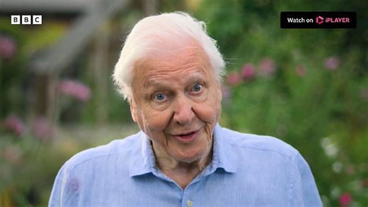 Secret Garden Official Trailer