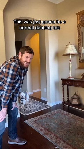 Understanding Anal Glands Scooting in Dogs